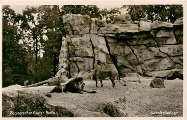 Zoo Gardin Zoologique-- Zoologischer Garten Berlin Loewenfreianlage