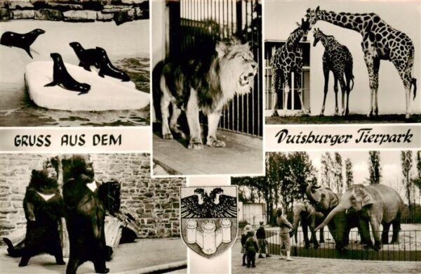Zoo Gardin Zoologique-- Duisburger Tierpark Loewe Giraffe Elefant Baer
