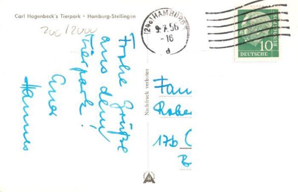 Zoo Gardin Zoologique-- Carl hagenbecks Hamburger-Stellingen Strausse Afrikanisc – Bild 2