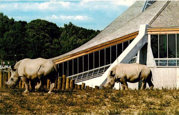 Nashorn Metro Toranto Zoo