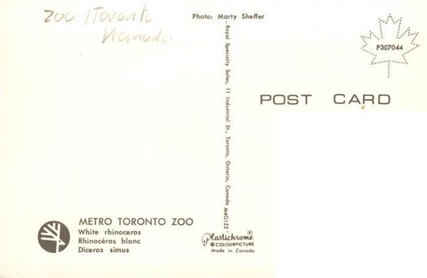 Nashorn Metro Toranto Zoo – Bild 2