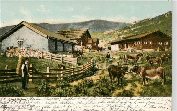 Verlag Kuenzli Zuerich Nr. 1181 Alphuetten Kuehe