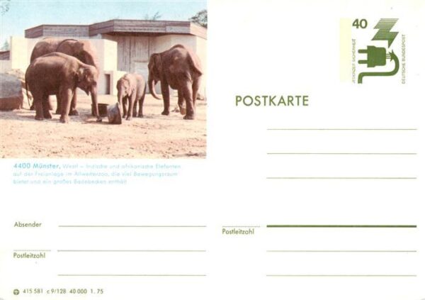Elefant Muenster Indische Afrikanische
