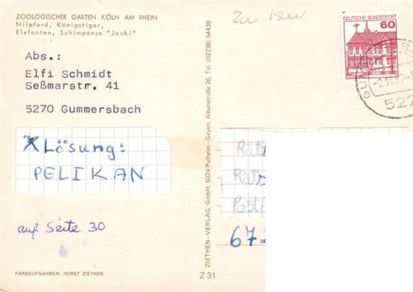 Zoo Gardin Zoologique-- Koeln Nilpferd Koenigstieger Elefanten Schimpanse Jacki – Bild 2