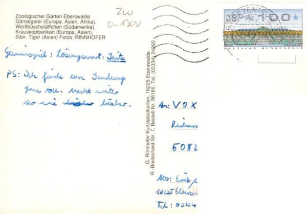 Zoo Gardin Zoologique-- Eberswalde Gaensegeier Weissbueschelaeffchen Krauskopfpe – Bild 2