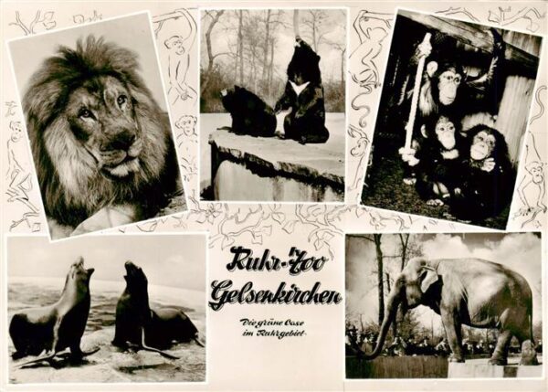 Zoo Gardin Zoologique-- Ruhr Gelsenkirchen Elefant Loewe Affe Baer