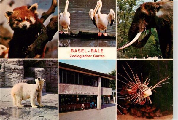 Zoo Gardin Zoologique-- Basel Eisbaer Fisch Elefant