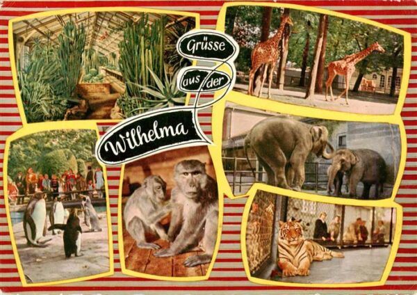Zoo Gardin Zoologique-- Stuttgart Bad Cannstatt Tieger Giraffe Affe Pinguine