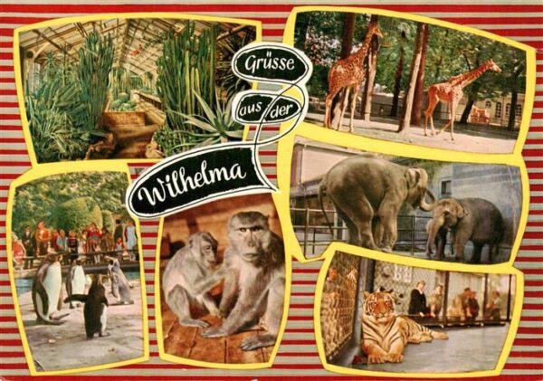 Zoo Gardin Zoologique-- Stuttgart-Bad Cannstatt Wilhelma Affen Tieger Elefanten