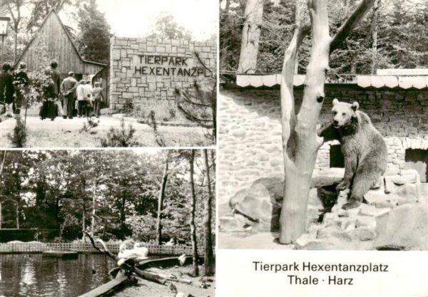 Zoo Gardin Zoologique-- Thale Harz Hexentanzplatz Baer