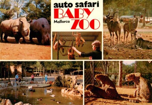 Zoo Gardin Zoologique-- Auto Safari Ruhe Mallorca Baby Zoo