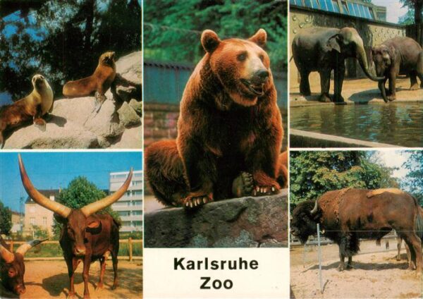 Zoo Gardin Zoologique-- Karlsruhe Baer Elefanten Stier