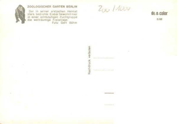 Zoo Gardin Zoologique-- Berlin Eisbaer – Bild 2