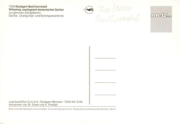 Zoo Gardin Zoologique-- Stuttgart Bad Cannstatt Wilhelma Gorilla Orang Utan Schi – Bild 2