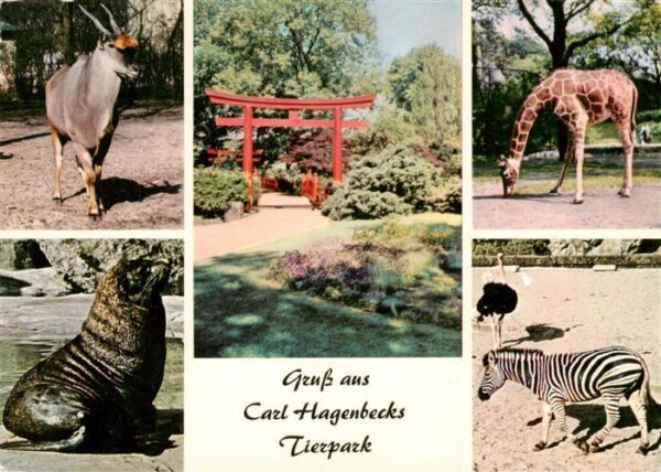 Zoo Gardin Zoologique-- Carl Hagenbeck Hamburg Stellingen Zebra Giraffe Seloewe