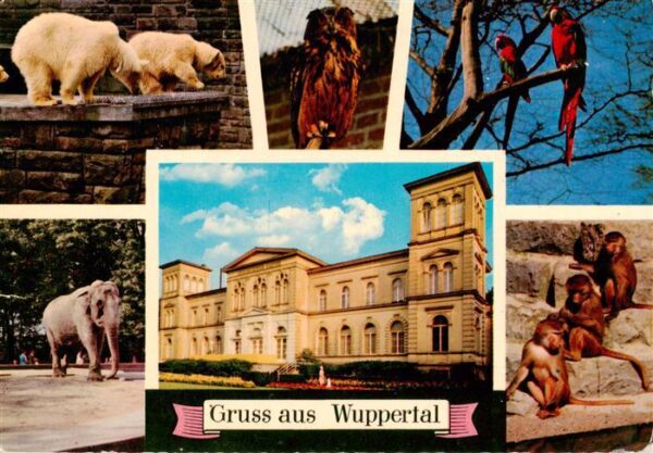 Zoo Gardin Zoologique-- Wuppertal Eisbaer Affen Ara Elefant Uhu/Eule