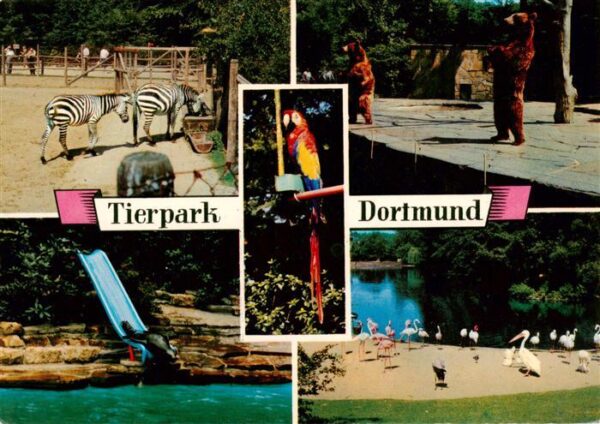 Zoo Gardin Zoologique-- Dortmund Baer Seeloewe Zebra Ara
