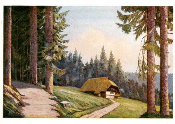 Rang Carl Kuenstlerkarte Auf Schwarzwalds Hoehen Nr. 16 Haus Wald