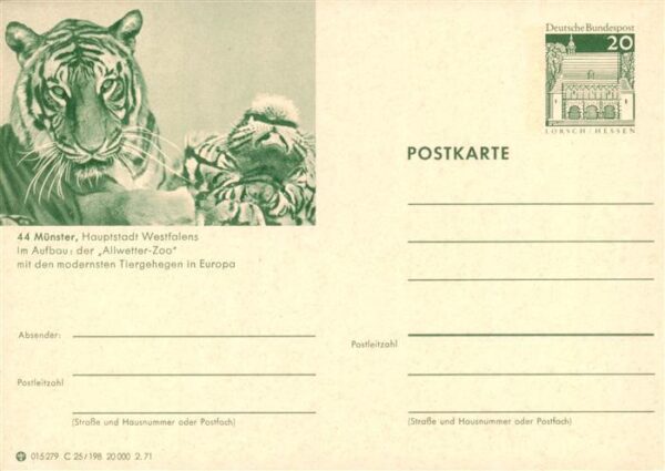 Zoo Gardin Zoologique--  44 Muenster Westfalen Allwetter Tieger
