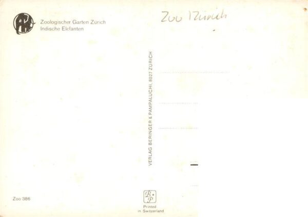 Elefant Zoo Zuerich Indischer – Bild 2