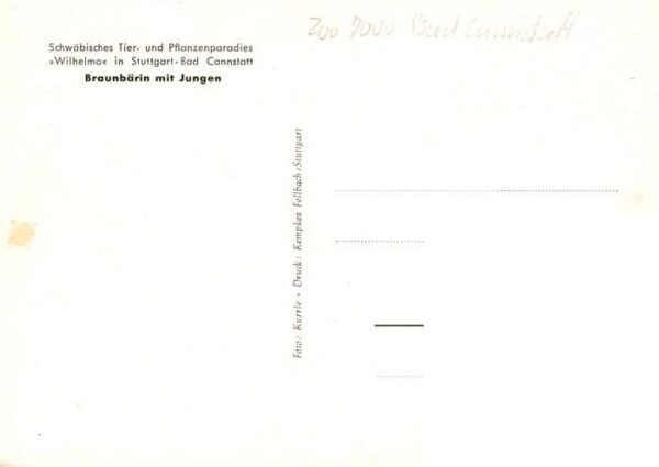 Zoo Gardin Zoologique-- Wilhelma Stuttgart Bad Cannstatt Braunbaerin Jungen – Bild 2