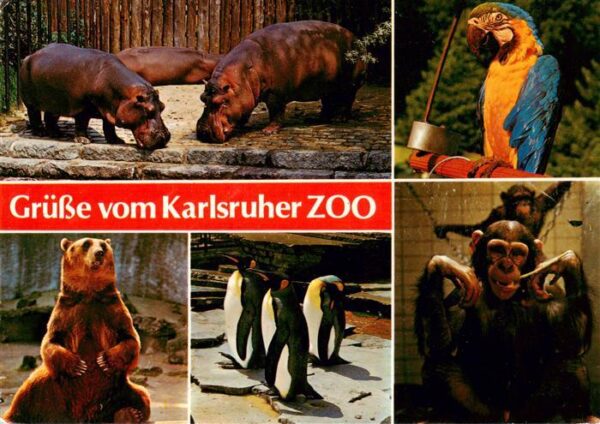 Zoo Gardin Zoologique-- Karlsruhe Baer Affe Ara Pinguin