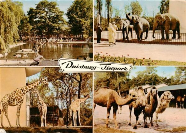Zoo Gardin Zoologique-- Duisburg Elefant Giraffe
