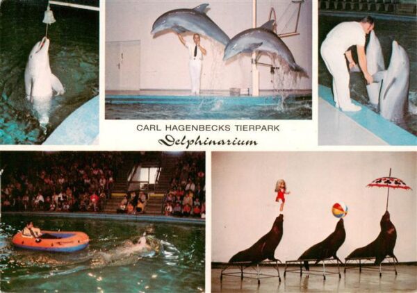 Delphine Dolphins Dauphins Delfines Carl Hagenbecks Tierpark