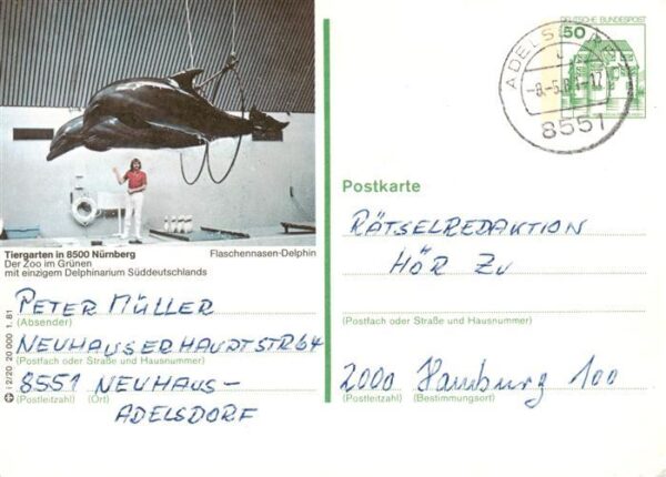 Delphine Dolphins Dauphins Delfines Nuernberg
