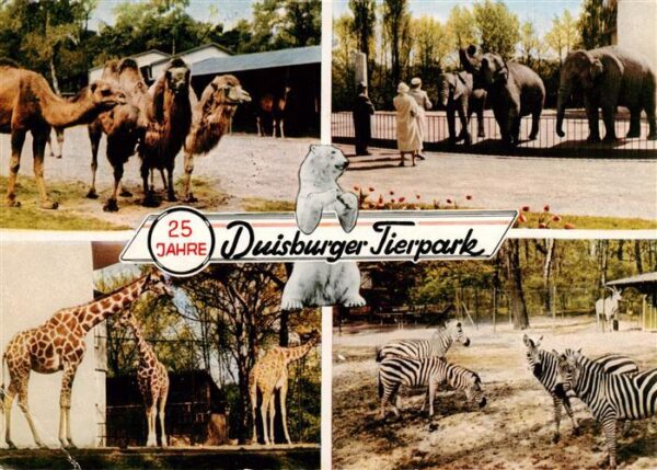 Zoo Gardin Zoologique-- Duisburg Kamel Zebra Giraffe Elefant