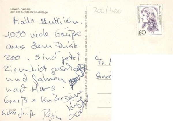 Loewe Lion-- Familie Duisburg – Bild 2