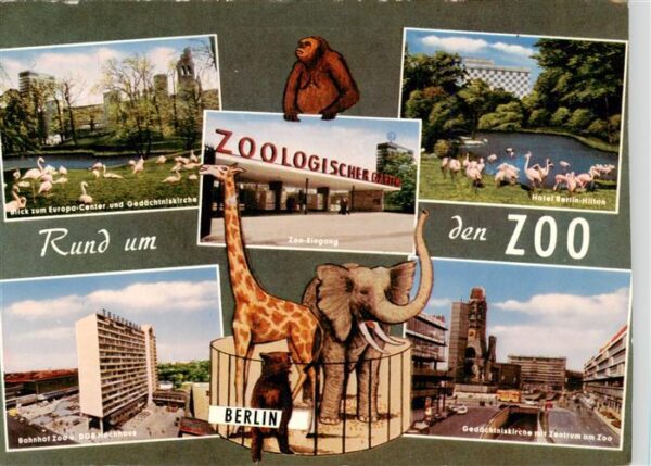 Zoo Gardin Zoologique-- Berlin Flamingos Bahnhof Zentrum