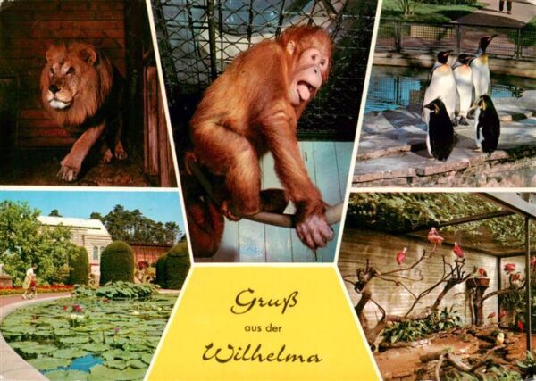 Zoo Gardin Zoologique-- Wilhelma  Pinguin Affe Loewe