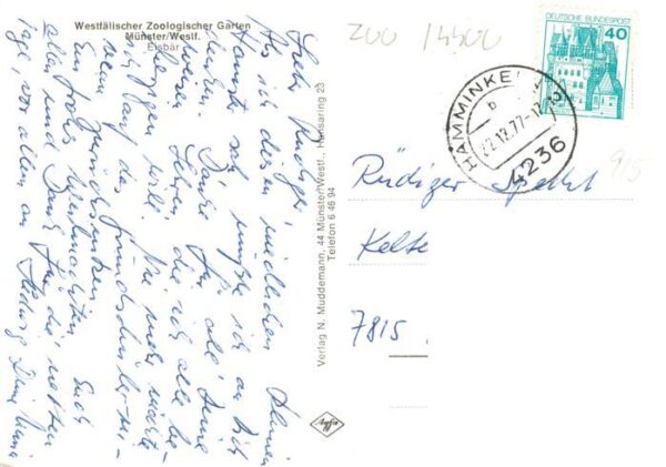 Eisbaer Icebear Ours Polaire Muenster Westf. – Bild 2