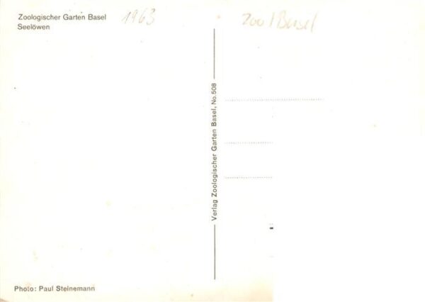 Zoo Gardin Zoologique-- Baswel Seeloewen – Bild 2