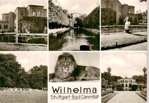 Zoo Gardin Zoologique-- Stuttgart Bad Cannstatt Wilhelma Loewe Schwan