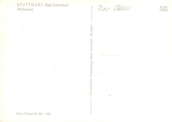 Zoo Gardin Zoologique-- Stuttgart Bad Cannstatt Wilhelma Loewe Schwan – Bild 2