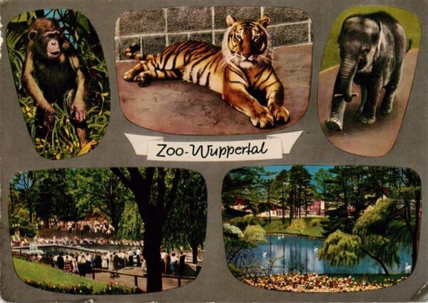 Zoo Gardin Zoologique-- Wuppertal Tieger Elefant Affe
