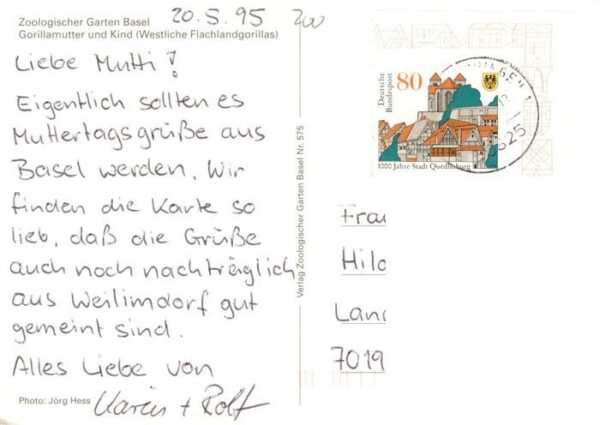 Zoo Gardin Zoologique-- Basel Gorillamutter Kind Flachlandgorillas – Bild 2