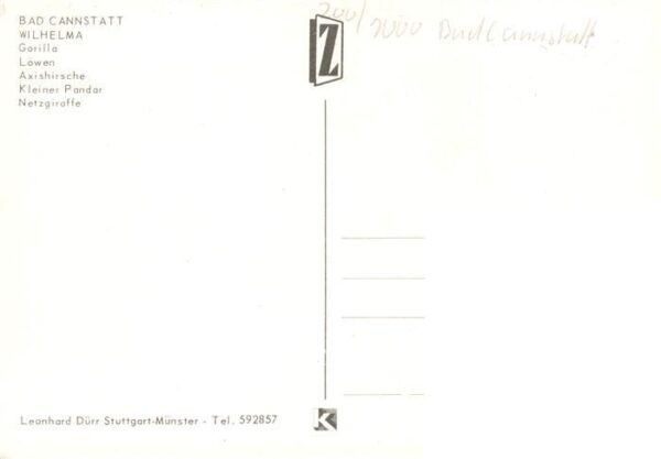 Zoo Gardin Zoologique-- Wilhelma Bad Cannstatt Gorilla Loewe Axishirsche Kleine – Bild 2