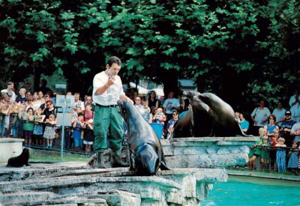 Zoo Gardin Zoologique-- Wilhelma Stuttgart Bad Cannstatt Seeloewenfuetterung