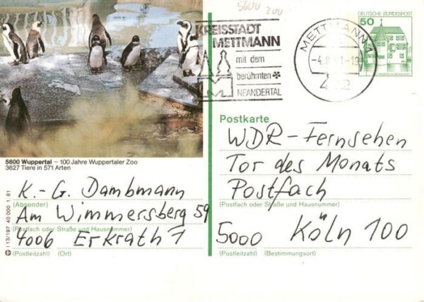 Pinguin Wuppertal