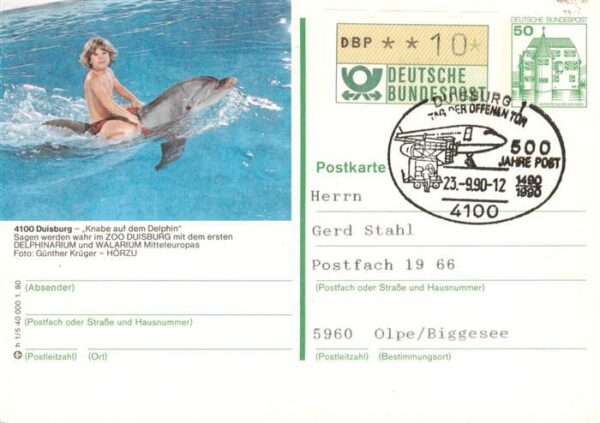 Delphine Dolphins Dauphins Delfines Duisburg Kind