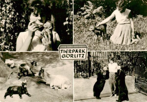 Zoo Gardin Zoologique-- Goerlitz Ziegen Baer Affen Baby Reh Baby