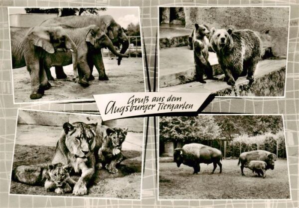 Zoo Gardin Zoologique-- Augsburg Elefant Baer Loewe