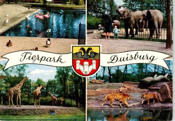 Zoo Gardin Zoologique-- Duisburg Tieger Giraffen Elefant Flamingo