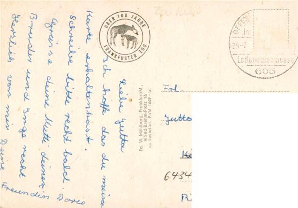 Zoo Gardin Zoologique-- Frankfurt Baer Elefante Eisbaer Giraffe – Bild 2