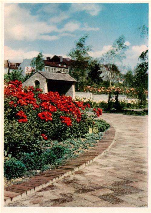 Gartenbauaustellung Hamburg Im Rosengarten