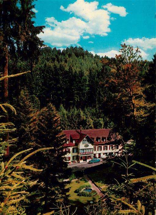 Sulzburg Freiburg Hotel Waldkurhaus