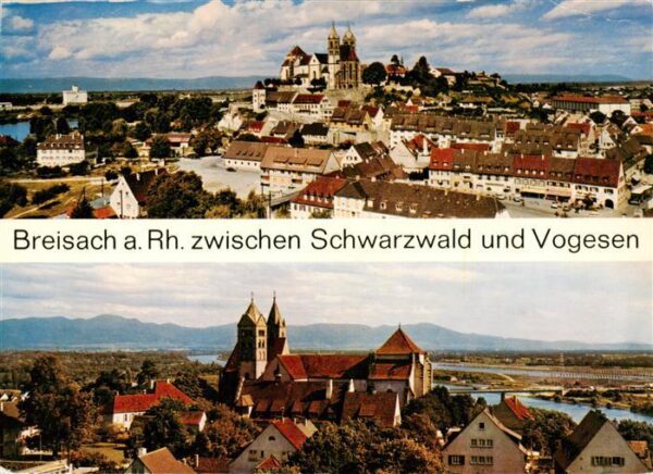 Breisach Rhein Panorama mit Stephansmuenster